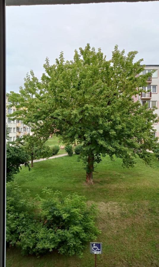 Apartament Mazury Kętrzyn Esterno foto