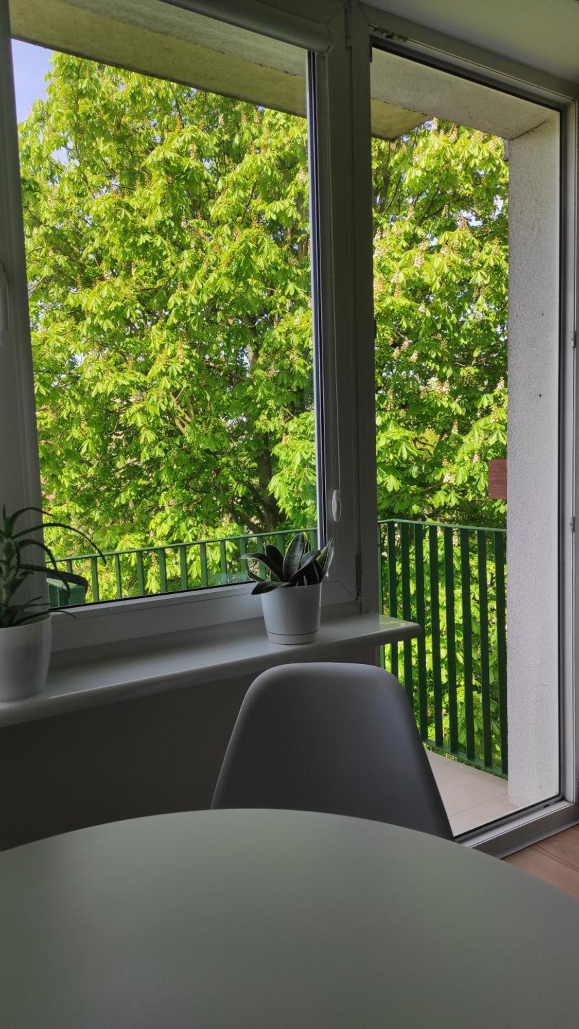 Apartament Mazury Kętrzyn Esterno foto